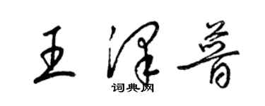 梁锦英王泽普草书个性签名怎么写
