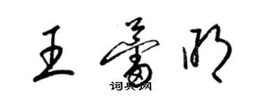梁锦英王蕾明草书个性签名怎么写