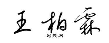 梁锦英王柏霖草书个性签名怎么写