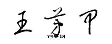 梁锦英王芳甲草书个性签名怎么写