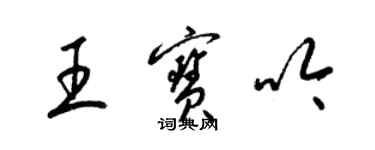 梁锦英王宝吟草书个性签名怎么写
