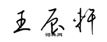 梁锦英王辰轩草书个性签名怎么写