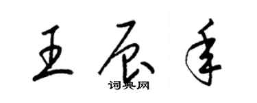 梁锦英王辰年草书个性签名怎么写