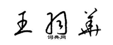 梁锦英王羽华草书个性签名怎么写