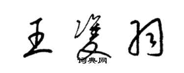 梁锦英王双羽草书个性签名怎么写
