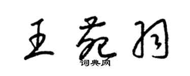 梁锦英王苑羽草书个性签名怎么写