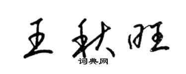 梁锦英王秋旺草书个性签名怎么写