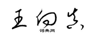 梁锦英王向真草书个性签名怎么写