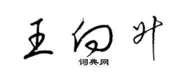 梁锦英王向升草书个性签名怎么写