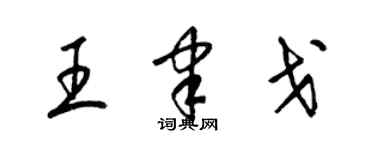 梁锦英王聿戈草书个性签名怎么写