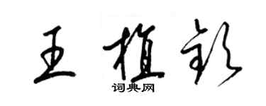 梁锦英王植钦草书个性签名怎么写
