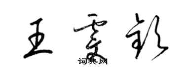 梁锦英王雯钦草书个性签名怎么写