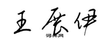 梁锦英王展伊草书个性签名怎么写