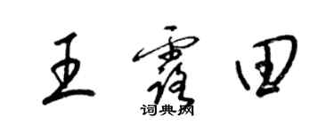 梁锦英王露田草书个性签名怎么写