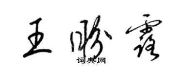 梁锦英王盼露草书个性签名怎么写