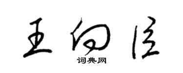 梁锦英王向臣草书个性签名怎么写