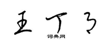 梁锦英王丁月草书个性签名怎么写