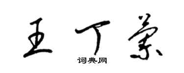 梁锦英王丁兰草书个性签名怎么写