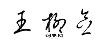 梁锦英王柳念草书个性签名怎么写
