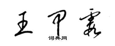 梁锦英王甲霞草书个性签名怎么写