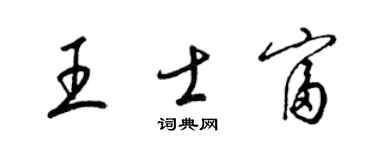 梁锦英王士富草书个性签名怎么写