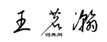 梁锦英王茗瀚草书个性签名怎么写