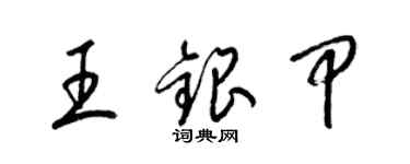 梁锦英王银甲草书个性签名怎么写