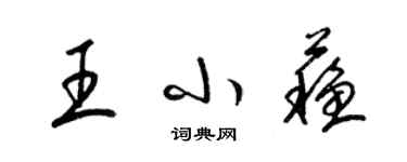 梁锦英王小苏草书个性签名怎么写