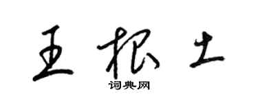 梁锦英王根土草书个性签名怎么写