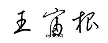梁锦英王富根草书个性签名怎么写