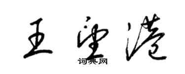 梁锦英王望港草书个性签名怎么写