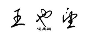 梁锦英王也望草书个性签名怎么写