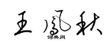 梁锦英王凤秋草书个性签名怎么写