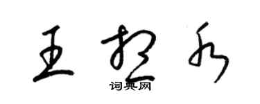 梁锦英王想水草书个性签名怎么写