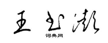 梁锦英王书澎草书个性签名怎么写