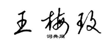梁锦英王梅玫草书个性签名怎么写