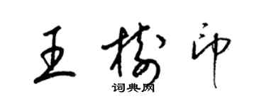 梁锦英王树印草书个性签名怎么写