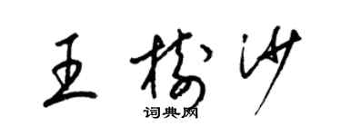 梁锦英王树沙草书个性签名怎么写