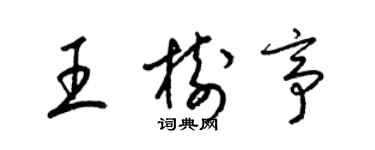 梁锦英王树亭草书个性签名怎么写