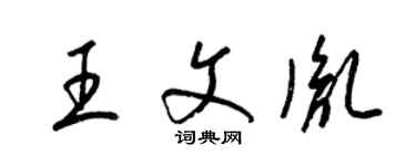 梁锦英王文胤草书个性签名怎么写