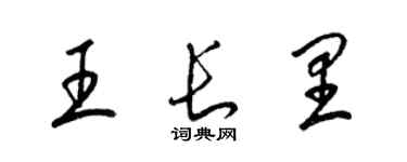 梁锦英王长里草书个性签名怎么写