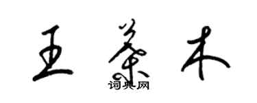 梁锦英王叶木草书个性签名怎么写