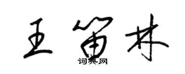 梁锦英王笛林草书个性签名怎么写