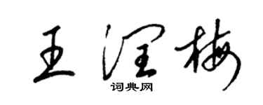 梁锦英王润梅草书个性签名怎么写