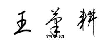 梁锦英王笔耕草书个性签名怎么写