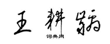 梁锦英王耕龋草书个性签名怎么写