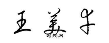 梁锦英王美幸草书个性签名怎么写