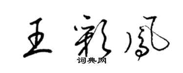 梁锦英王彩凤草书个性签名怎么写