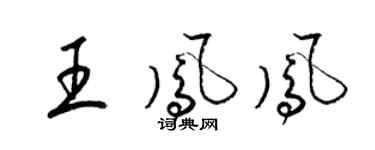 梁锦英王凤凤草书个性签名怎么写