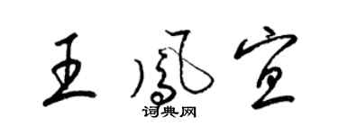 梁锦英王凤宜草书个性签名怎么写